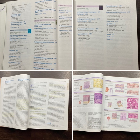 🔬 College Textbook Fundamentals of Anatomy and Physiology 7th Addition - Picture 12 of 16